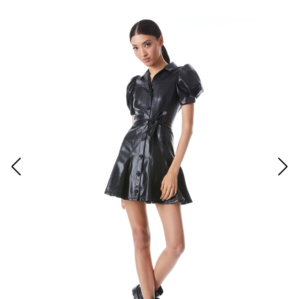 Alice and Olivia Dress